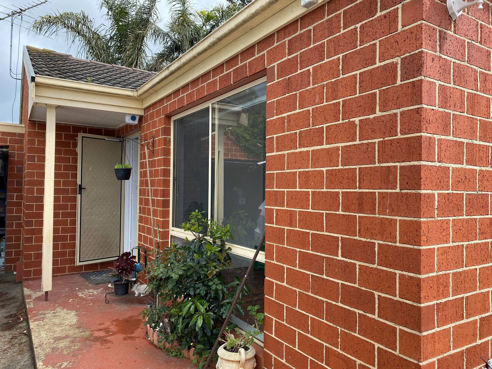 120317806_453662348909293_2885164694566122279_n