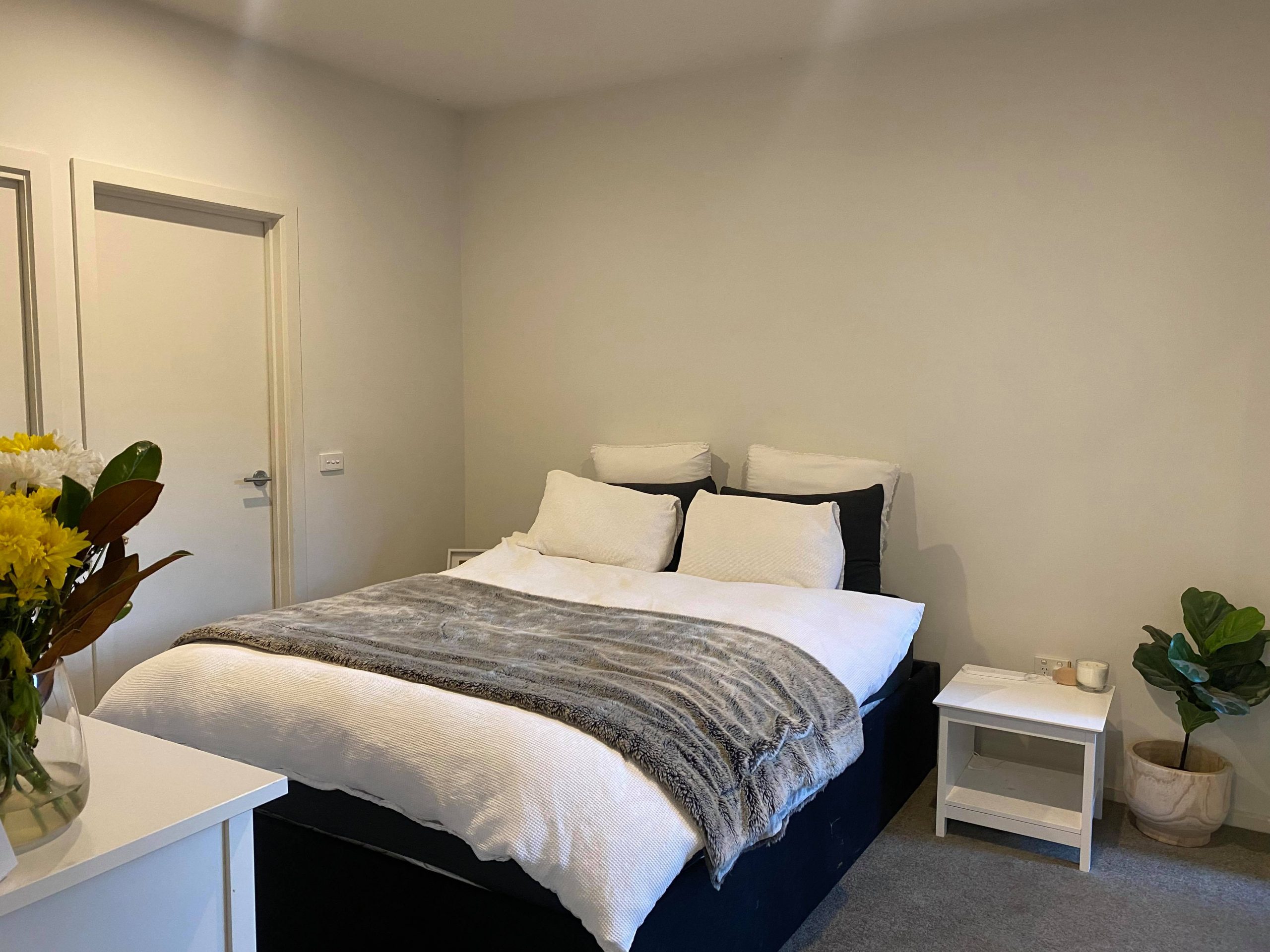 225636615_417355352961060_139182680963871760_n