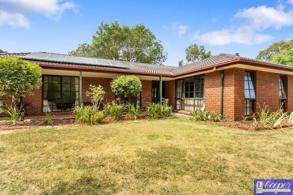 image (1) LCooper Real Estate Somerville