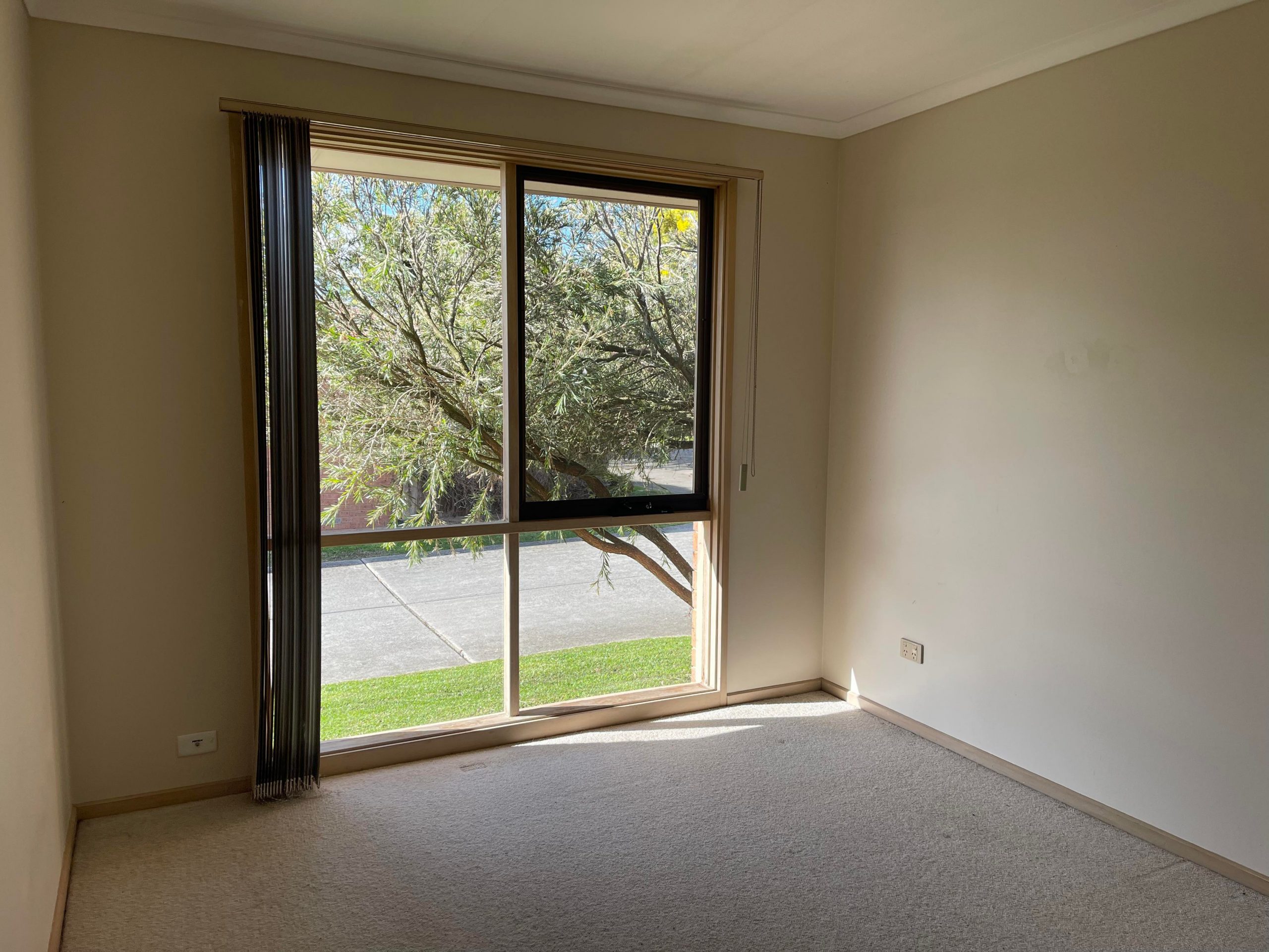 296429376_564474992036204_7382807807395128585_n