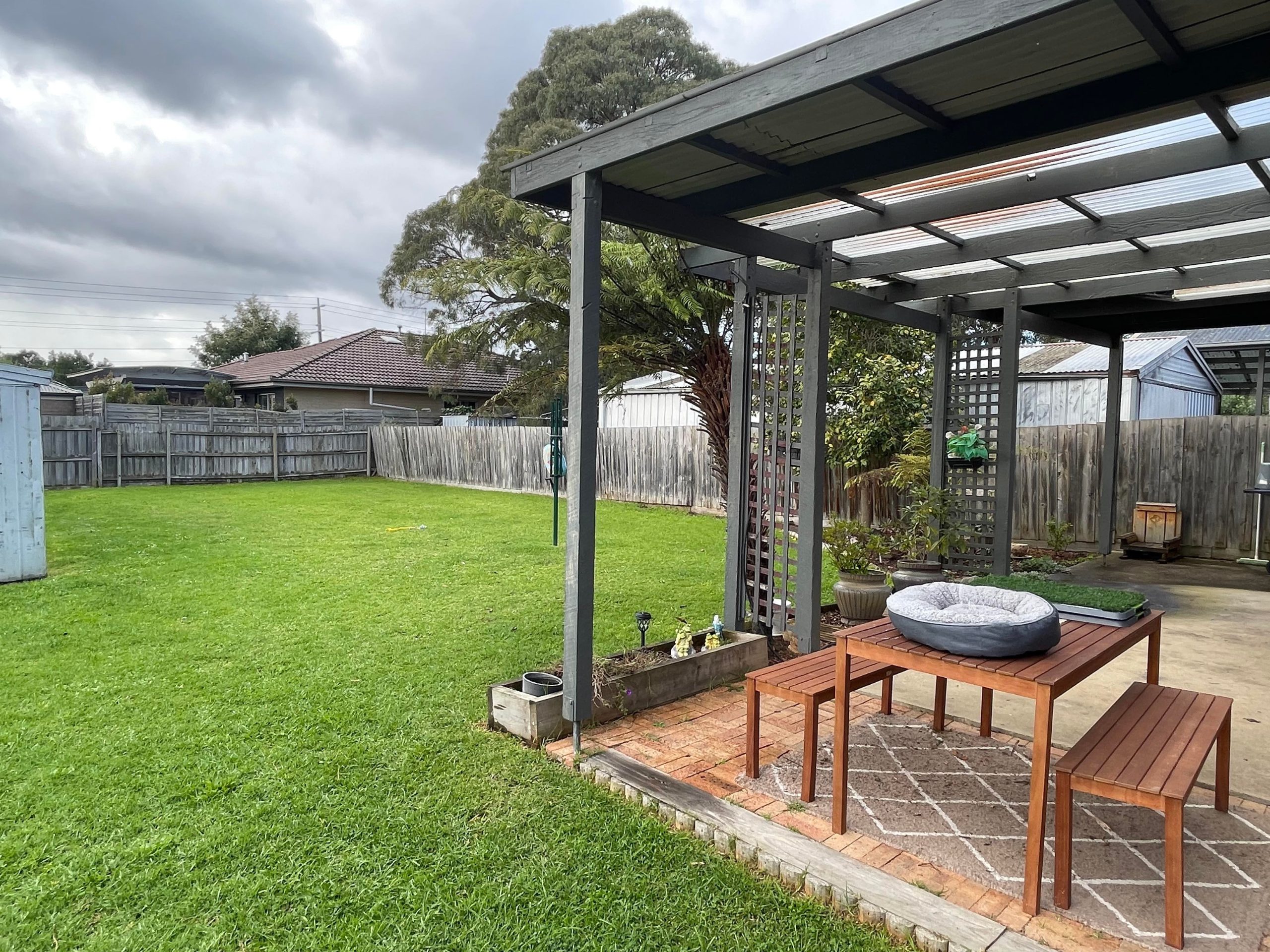 343986428_4288782904679177_5771436972614939505_n