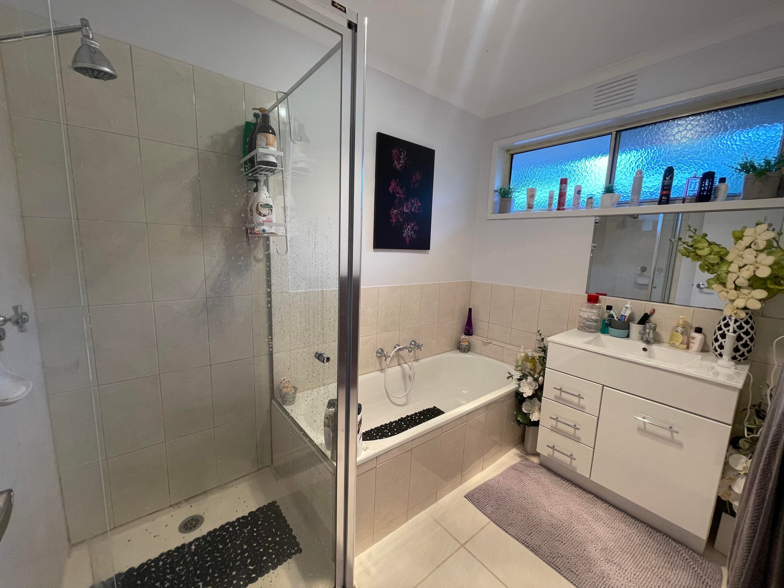 344289405_177101578621872_5670190669864792108_n