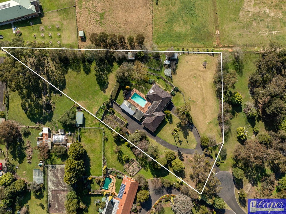 image (11) image (11)