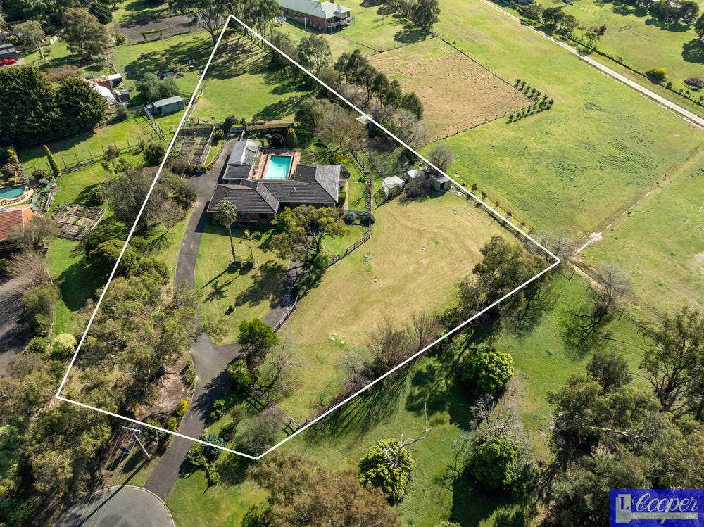 image (12) image (12)