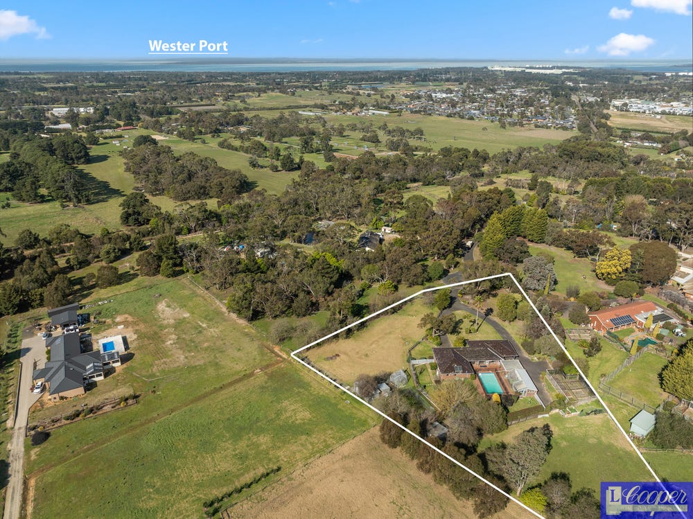 image (13) image (13)