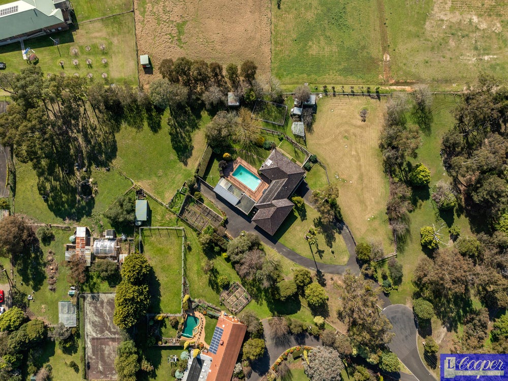 image (15) image (15)