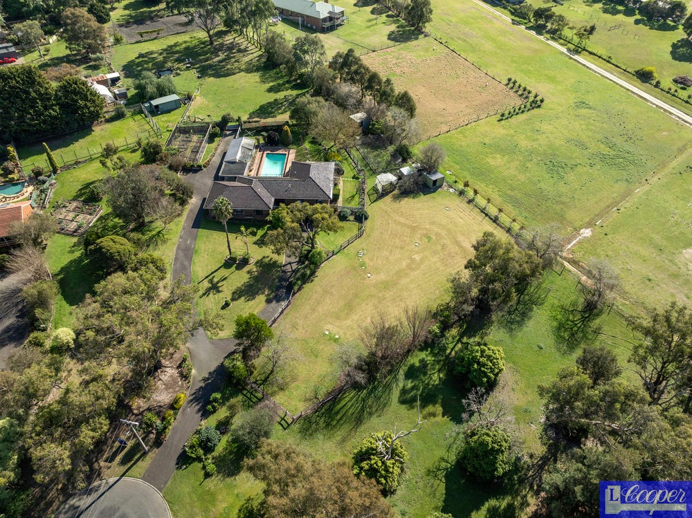 image (16) image (16)