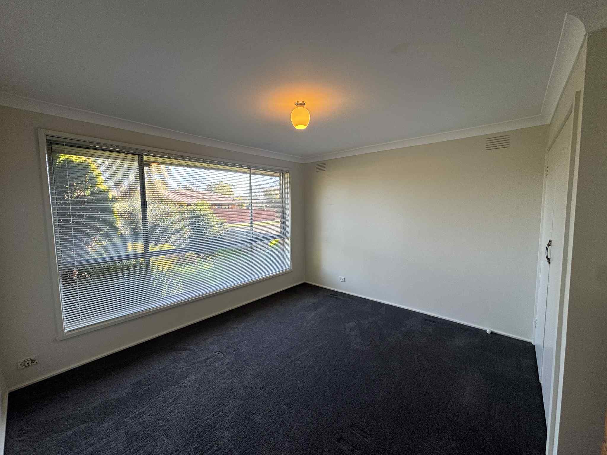 c776068f-a8f3-474f-98b0-591ebbbbcc99