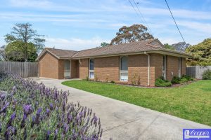 5 Montrose Avenue, Somerville photo